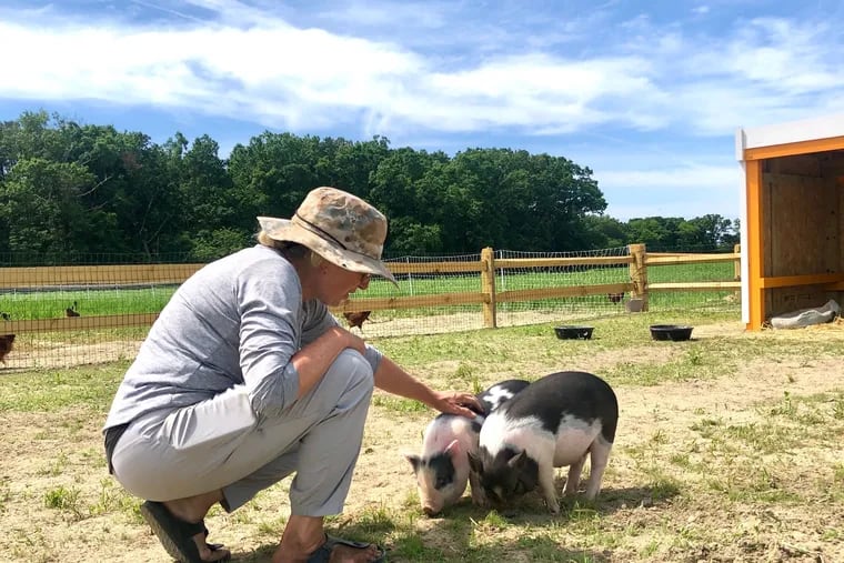 Jersey Shore restaurateur Cookie Till launches an organic farm and animal  sanctuary