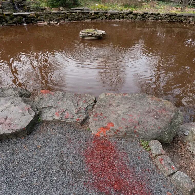 The Penn Bio Pond at James Kaskey Memorial Park, Wednesday, March 22, 2023. Vandals dyed the Penn Bio Pond red over the weekend.