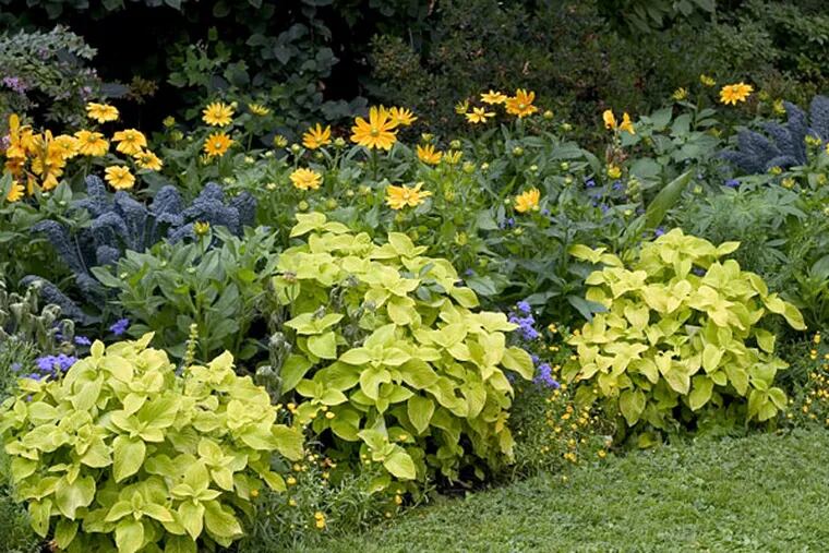 'FivePlant Gardens,' easy and inexpensive perennial plots