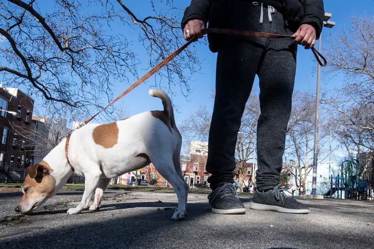 Michael Shannon, holds his dog Ruth on a leash during a walk at the Gold Star Park in South Philadelphia. JOSE F. MORENO / Staff Photographer