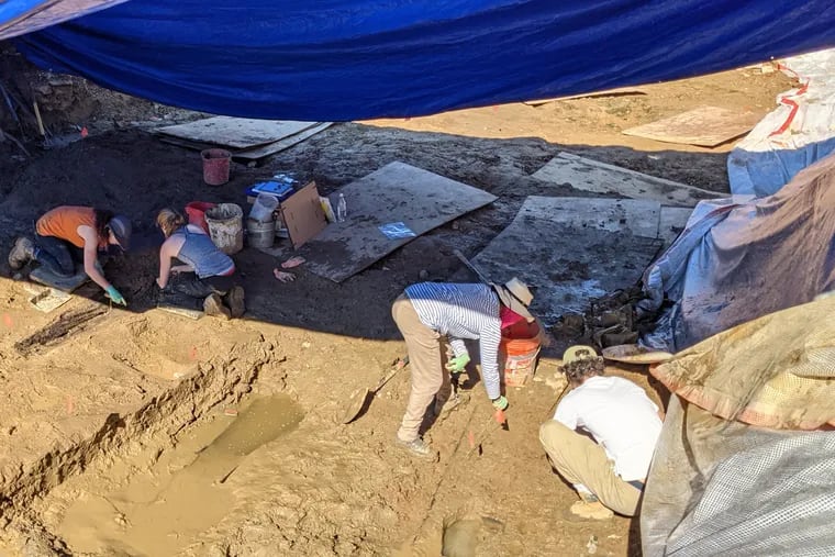 Archeologists hired by developers hand sifted through an unmarked grave site discovered under a parking lot at 5th and Spring Garden Streets in Philadelphia.