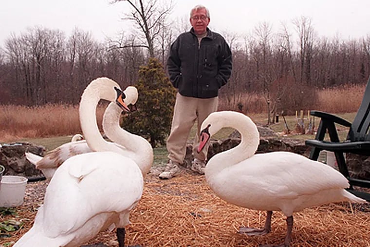 Manfred DeRewal, 72, is the longtime owner of Boarhead Farms in Upper Black Eddy Bucks County.