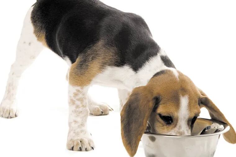 Pet food recalls have become increasingly common.