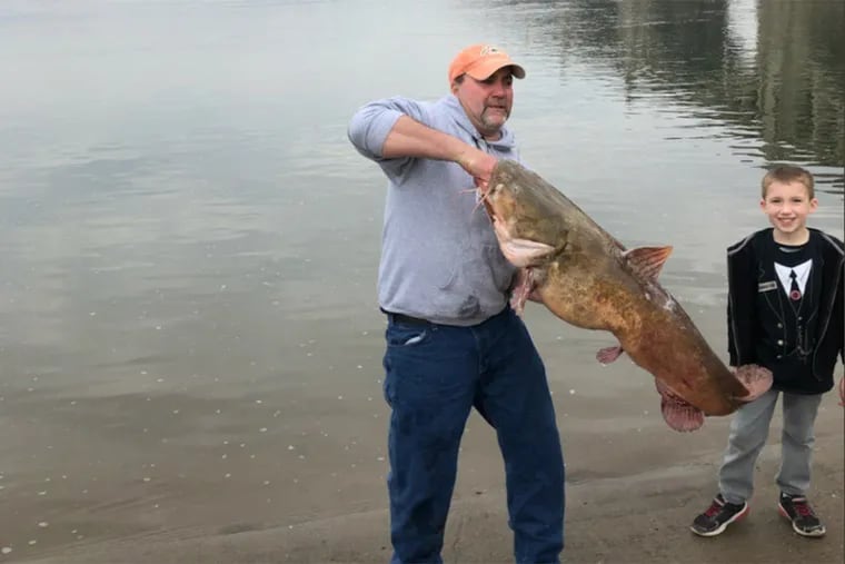 It took Jeff Bonawitz 25 minutes to land the 50-pound, 7-ounce fish.