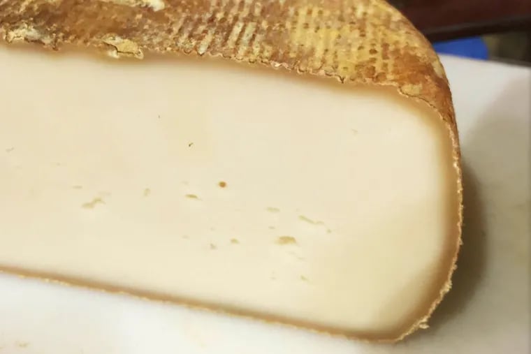 Nanticoke, a new sheep's milk cheese from Valley Shepherd Creamery.