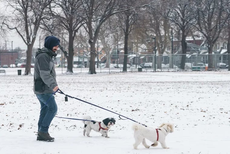 David Glazer walks dogs Luna, center, and.Leia, front right, Friday morning at Marconi Plaza in South Philadelphia.