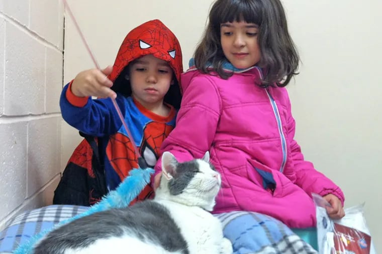 Caleb Formica, 4, and sister Isabella Formica, 7, play with the cat they adopted. (Carolyn Davis / Staff)
