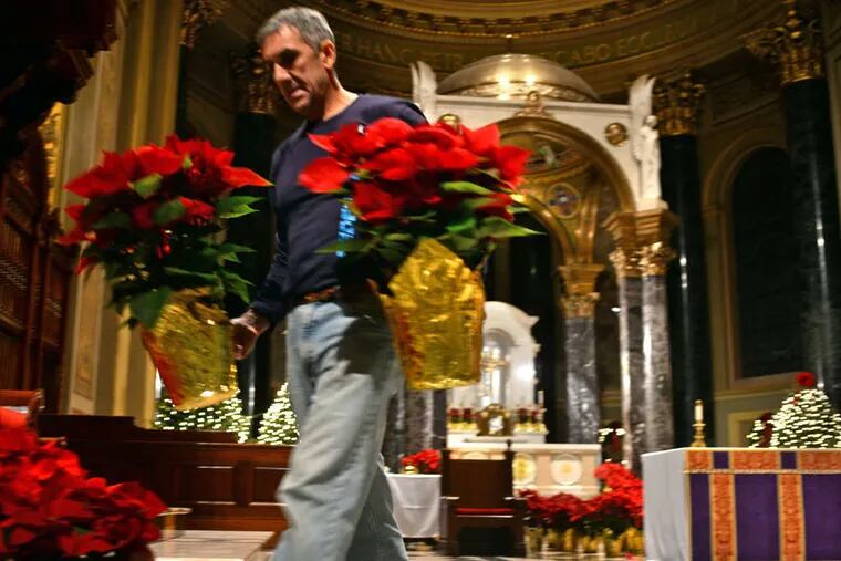 Richard Schatzman places poinsettias as the cathedral is prepared for Christmas activities at what is its busiest season.