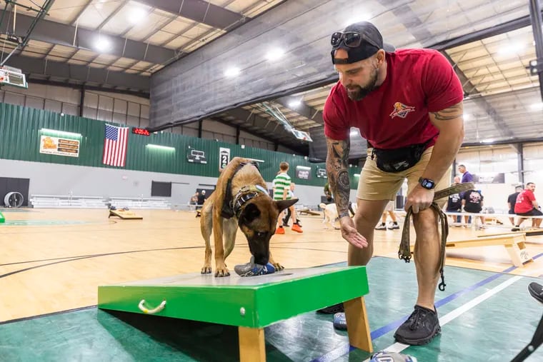 Jonathan Belton, 39, of Boca Raton, Fla., a sergeant in the Marine Corps, with his service dog Loki, 2, a Belgian Malinois. The two were competing in the Bags, Brew, and Barks Charity Cornhole Tournament at the Total Turf Experience in Pitman, N.J., on Saturday.