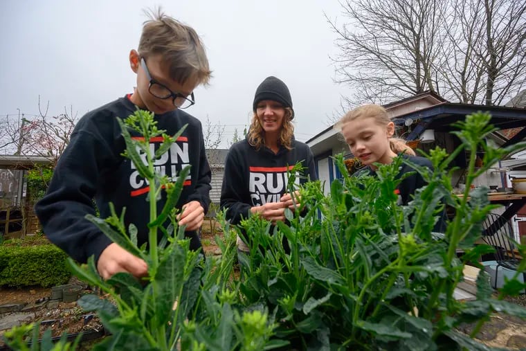 Jennifer Aylward-Kasitz (center) with her kids Brennan, 9, (left) and Gloria, 11, harvest some Tuscan kale from their Coatesville backyard garden.