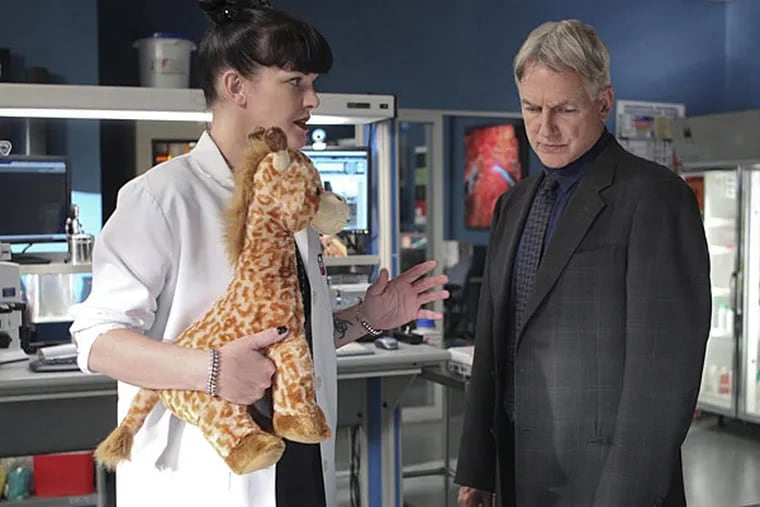 Pauley Perrette and Mark Harmon in NCIS. (Photo credit: Sonja Flemming/CBS)