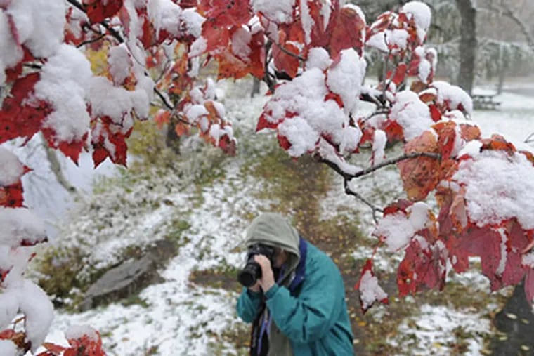 Marion Gill, of Claysville, Pa., takes pictures of snow in Tobyhanna State Park in Monroe County, on Oct. 15, 2009. Parts of the Poconos got five inches of snow. (David Kidwell / Pocono Record)