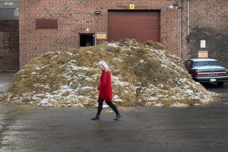 Shannon Powers walks near a pile of manure at the 2023 Farm Show in Harrisburg, Pa. Monday, January 9, 2023.