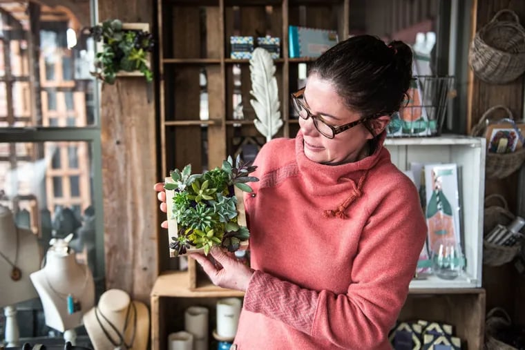 Amy Scipioni, the buyer for Skippack's Floral and Hardy, shows off a finished succulent planter. Scipioni will be leading a make-and-take workshop at the 2019 Philly Home and Garden Show.