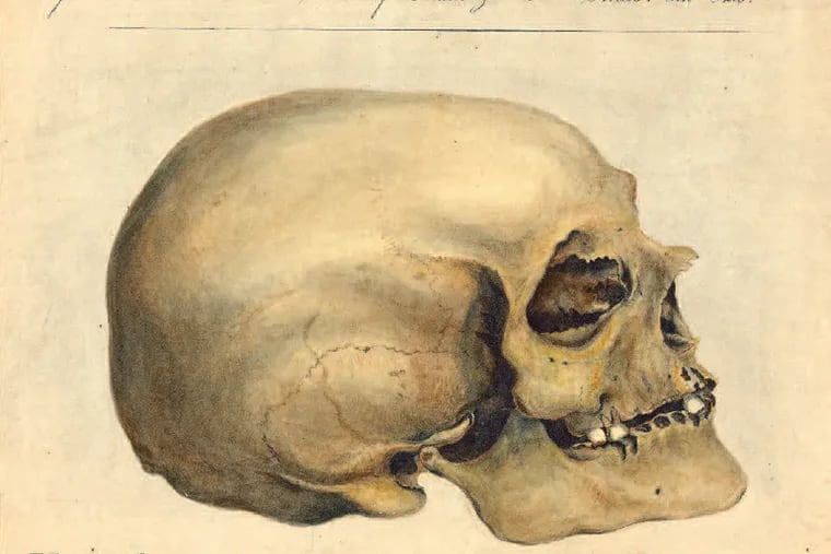 An illustration from Crania Americana, a text from University of Pennsylvania graduate Samuel Morton that advanced racist science claiming racial superiority according to skull size. Morton's cranial collection remains at Penn.