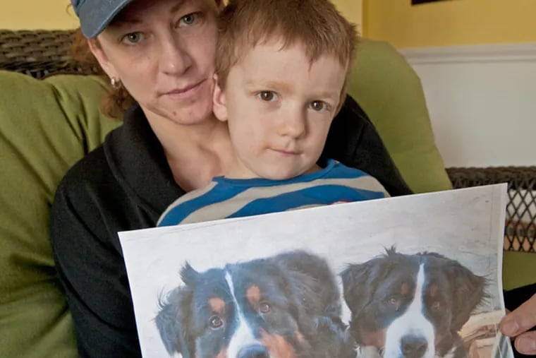 Mary Bock and her son Teague Bock, 5, with a photo of their dogs, Argus, left; and Fiona at their Chester Springs, Pa., home on Feb. 21, 2013. (APRIL SAUL / Staff Photographer)