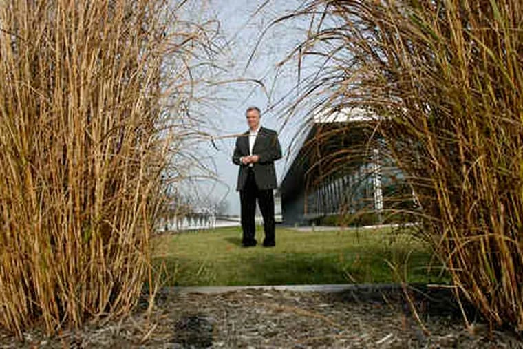 The rooftop garden of SAP America's building includes visually stunning plant life that also helps cool the floor below. Project manager Brian Barrett stands among some of the grasses.