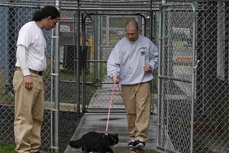 Inmates Joseph Walter, right, and Joseph Contreras walk Princess Natalie at Larch Correctional Facility Friday, April 20, 2012, in Yacolt, Wash. The Cuddly Catz program at the Larch Correctional Facility, a minimum-security prison is several months old, but inmates say they’ve already noticed a difference in the cats and themselves. The program began in cooperation with a local animal shelter. It has grown to include two cats and four inmates, and the prison plans to add four more cats. (AP Photo/Rick Bowmer)