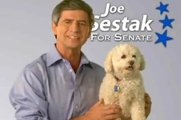 The new commercial for Democratic candidate Joe Sestak features his dog, Belle. The television spot seems to have narrowed the margin between Sestak and Republican candidate Pat Toomey in the Pennsylvania Senate race.