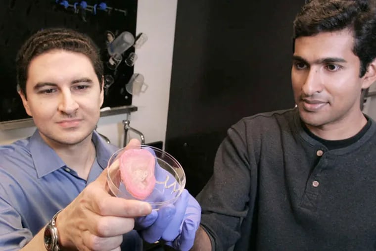 Michael McAlpine (left) and Manu S. Mannoor hold their bionic ear, not made for use in patients.
