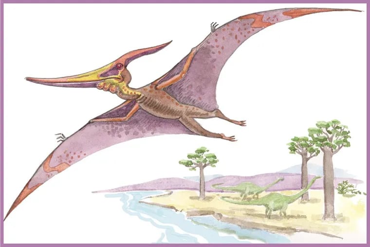 4 We don't know the color of Pteranodon's skin, bill and crest, so you can decide which colors to use when you add color with paint, markers or pencils. Give your Pteranodon a landscape that includes some water. #submittedImage