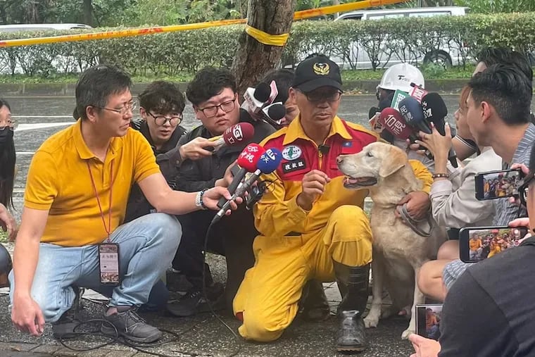 Roger the Labrador failed police dog school because he was too playful and friendly. That same energy has helped him thrive as a search dog in the rescue efforts following Taiwan's deadly earthquake.