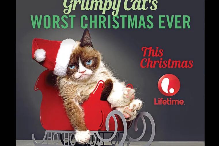 According to The Hollywood Reporter a live-action project featuring the cat called "Grumpy Cat's Worst Christmas Ever," will shoot during the Summer of 2014. (AP Photo/Lifetime)