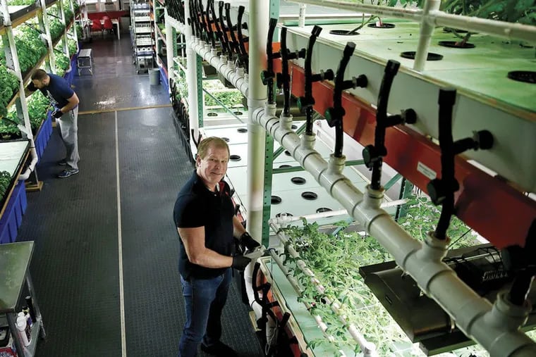 In this Feb. 2017 photo, Jack Griffin tends to a hydroponic rack holding plants at South Philadelphia's Metropolis Farms as Lee Weingrad trims basil to his left.