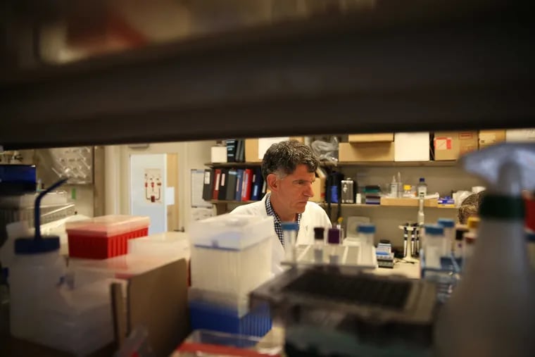 More than 70 genes have been linked to LDL cholesterol levels, and an equal number are connected to triglycerides, says geneticist Dan Rader, at his lab in the University of Pennsylvania's Smilow Center