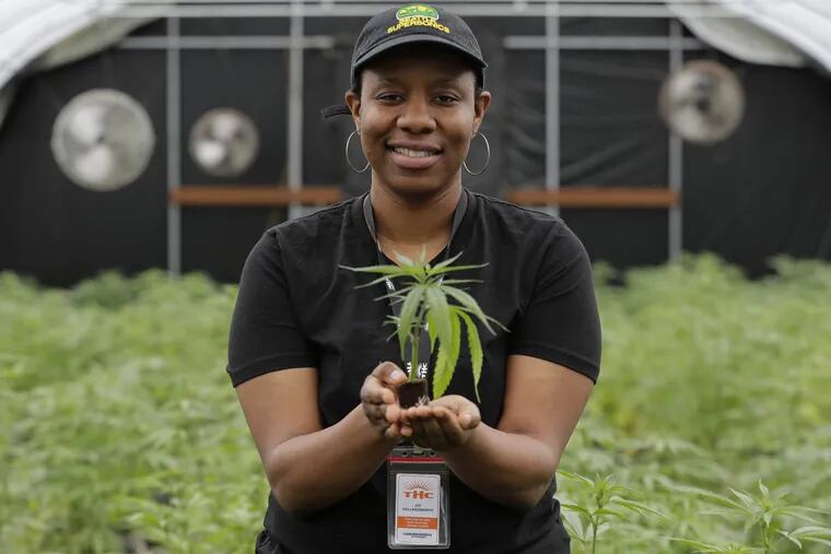 In this April 12, 2018, photo, Joy Hollingsworth, of the Hollingsworth Cannabis Company, poses for a photo, while holding a young marijuana plant in one of her company's pot growing facilities near Shelton, Wash. Hollingsworth family members own a marijuana farm south of Seattle, where they grow about 9,000 plants and employ 30 people at peak harvesting. (AP Photo/Ted S. Warren)