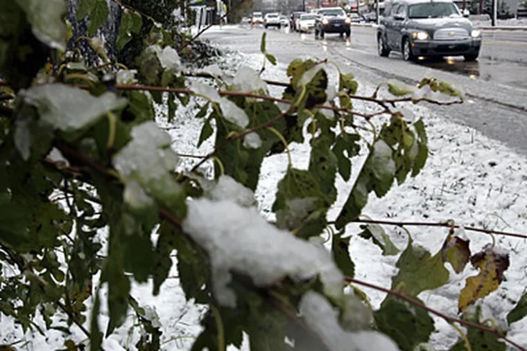 Slushy snow hangs on the trees and backs up traffic today on Route 413 in Levittown, Bucks County. The precipitation, caused by a coastal storm, resulted in the rescheduling of World Series Game 5 until Wednesday night. (Laurence Kesterson / Staff Photographer)