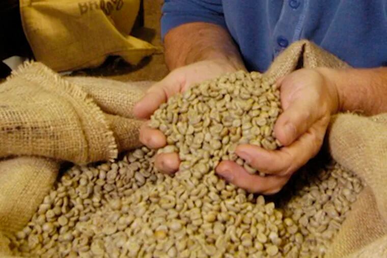 The key to the effectiveness of green coffee bean extract is not believed to be the effect of caffeine; rather, it is attributed to the compound chlorogenic acid and its metabolite caffeic acid. Chlorogenic acid helps to keep the body from absorbing sugar from the digestive tract, and it also stimulates the burning of fat by the liver. (AP Photo/Paul Franz)