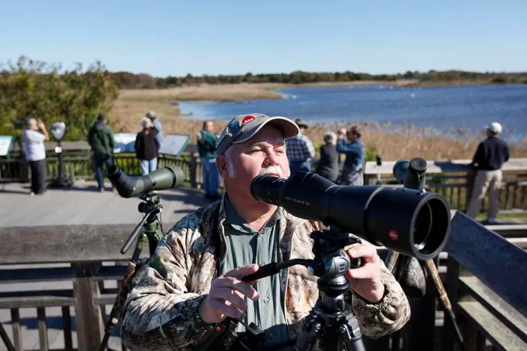Warren J. Lilley Jr., a member of the Audubon Society of Atlantic County, watches birds at Cape May Point State Park in 2014.