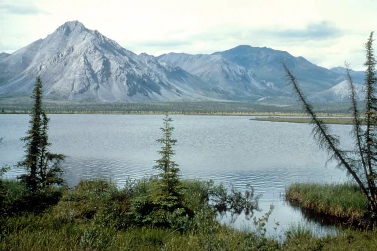 File: The Arctic National Wildlife Refuge in Alaska. (U.S. Fish and Wildlife Service/Getty Images/TNS)