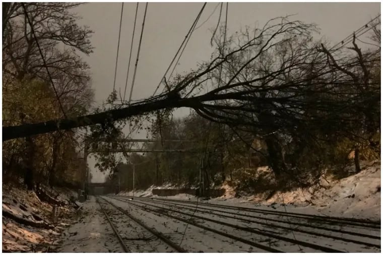 This tree that fell across the power lines halted service on SEPTA's Paoli/Thorndale line through Friday morning's rush hour.