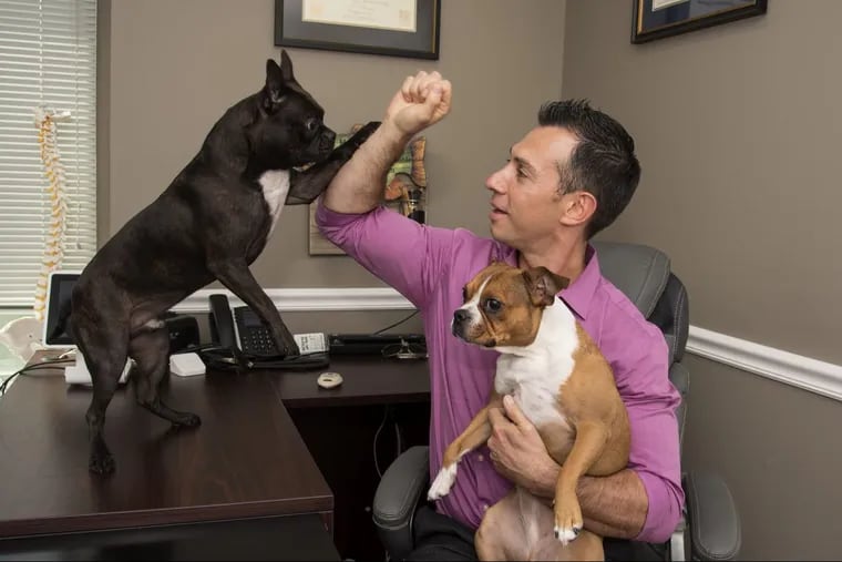 Andrew Medvedovsky,  a neurologist and pain-management doctor, in his cannabis clinic in Turnersville with his two Boston bulldogs, Rico (left) and Samba.