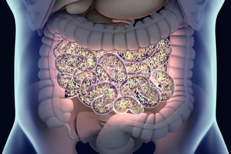 Gut bacteria can reveal a lot about your health.