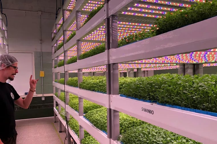 GrowFlux offer technology and software to control lighting for indoor farms. Shown here is Second Chances Farm in Wilmington, an early customer.