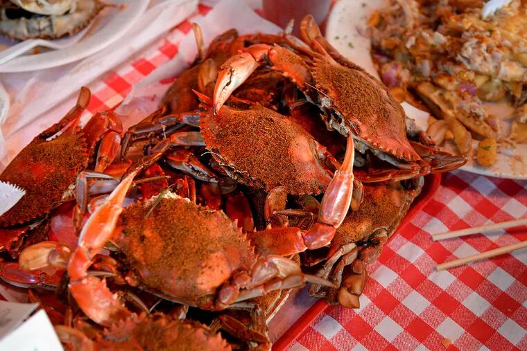 Maryland-style steamed crabs - fished daily right outside the Oyster Creek Inn in Leeds Point and served exclusively on the screened porch at the restaurant. (Tom Gralish / Staff Photographer)