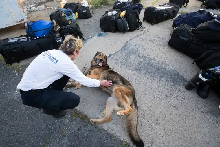 Members of PA Task Force 1 will be leaving on Wednesday evening to help with in Surfside, Florida Zakk, a live-search dog, gets a belly scratching by Debbs MacDonald as he waits by the bags. The task force is made of up members from the Philadelphia, Harrisburg, and Baltimore areas.