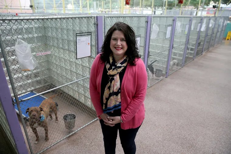 Julie Klim , CEO of PSPCA, poses in front of the dog adoption kennels in the shelter.