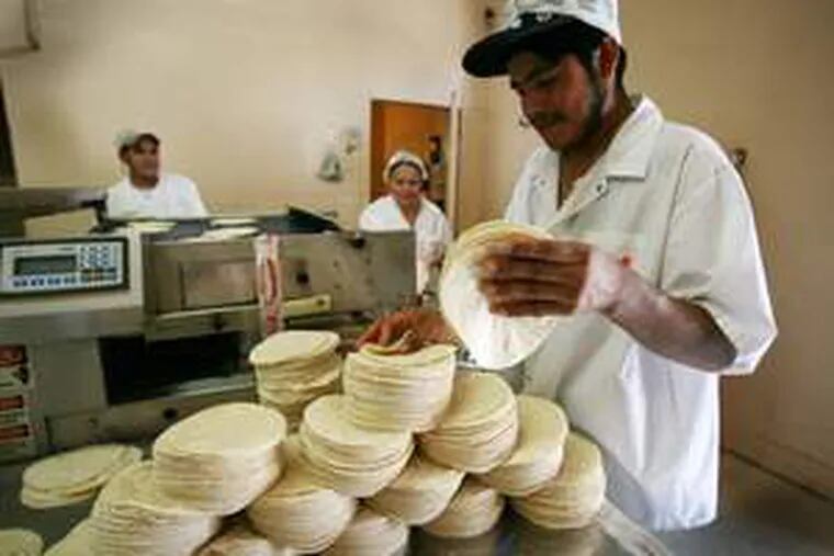 A worker at Brooklyn&#0039;s Tortilleria Chinantla stacks corn tortillas. They make a million of them a day.