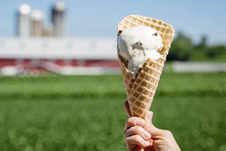Some lucky person will be sampling lots of ice cream cones at dairy farms across Pennsylvania this July as the American Dairy Association North East's first Chief Ice Cream Officer.
