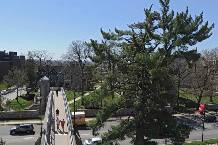 File photo overlooking campus of St. Joseph's University in 2014.