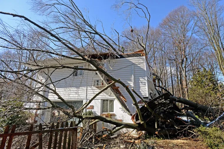 The safety of the home where a woman was killed, and her husband was seriously injured and trapped for hours when a tree fell into their bedroom, must be determined.