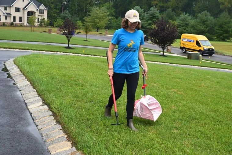 Emily LaBeaume, co-owner of Big Business Scoopers, a pet waste removal service in Pitman, N.J., works on a client's lawn in Mullica Hill.