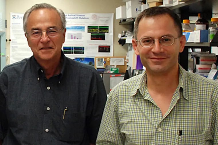 Gustavo D. Aguirre (left) and William A. Beltran worked with Penn colleagues, aided by University of Florida scientists.