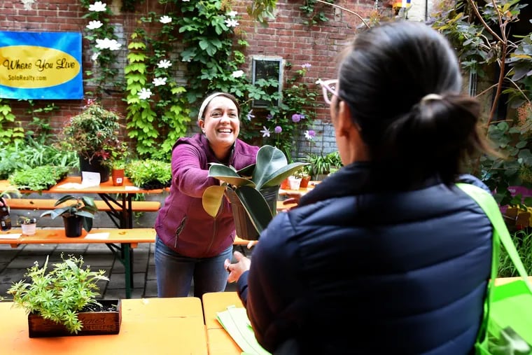 Cristina Tessaro (left) project manager at Pennsylvania Horticultural Society gives some rooted rubber plant cuttings to take home as Kathy Tang leaves the meet up where PHS members and fellow plant enthusiasts attend monthly Plant Swap at the PHS Pop Up Garden.