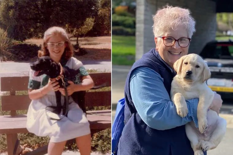 In the photo on the left, a 10-year-old Marybeth Hearn holds her first guide dog in training, Letta, in August 1962. Over 50 years later, in the photo on the right, Hearn holds her 55th puppy raised for Guide Dogs for the Blind, in Lemoore, Calif. For over five decades, the newly retired high school teacher has volunteered as a puppy raiser for the nonprofit, training 56 dogs on her own and 170 with her students in a local program she started. (Marybeth Hearn via AP)