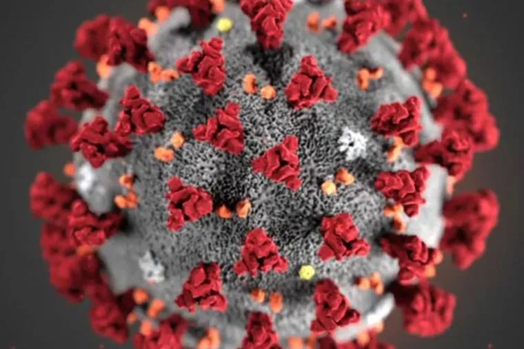 A COVID-19 particle is pictured in this image provided by the CDC. A newly published study examined the case of a Nevada man who became infected with two different variants of the virus in less than two months. (U.S. Centers for Disease Control and Prevention)